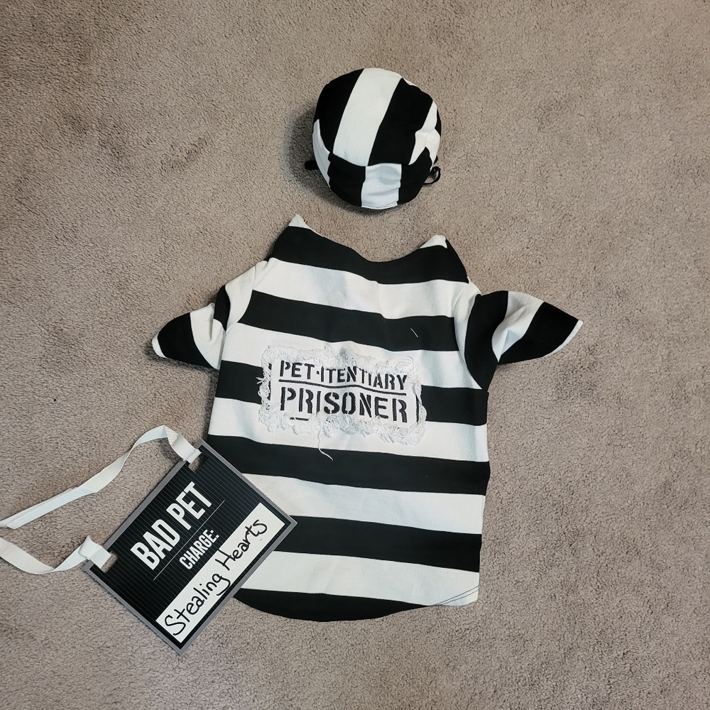Large dog convict costume